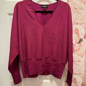 Express Women's V-Neck Sweater - Deep Pink